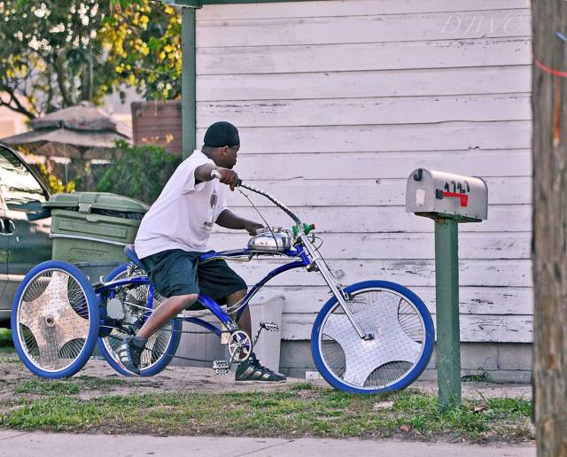 daily picdump 95 pics 5.html - 95 HD Photos | Premium Gallery 2017