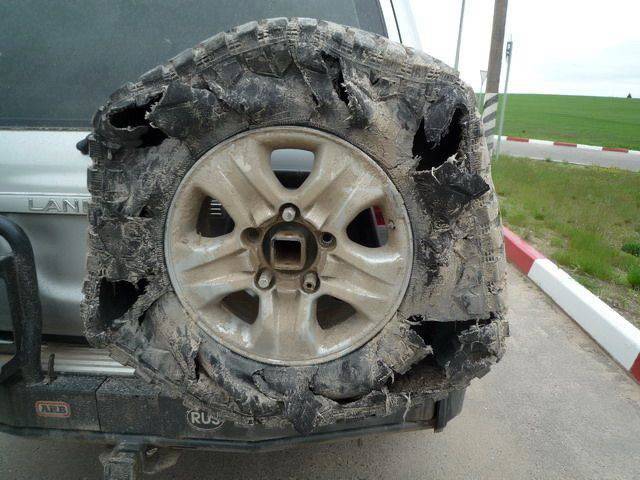 daily picdump 95 pics 5.html - 95 HD Photos | Premium Gallery 2017