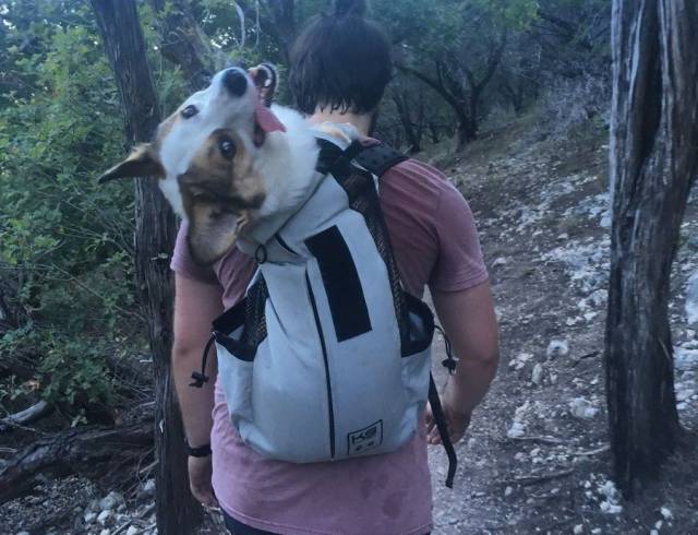 daily picdump 95 pics 5.html - 95 HD Photos | Premium Gallery 2017