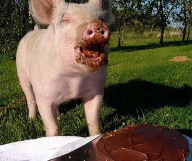 daily picdump 95 pics 5.html - 95 HD Photos | Premium Gallery 2017