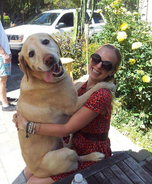 daily picdump 95 pics 5.html - 95 HD Photos | Premium Gallery 2017