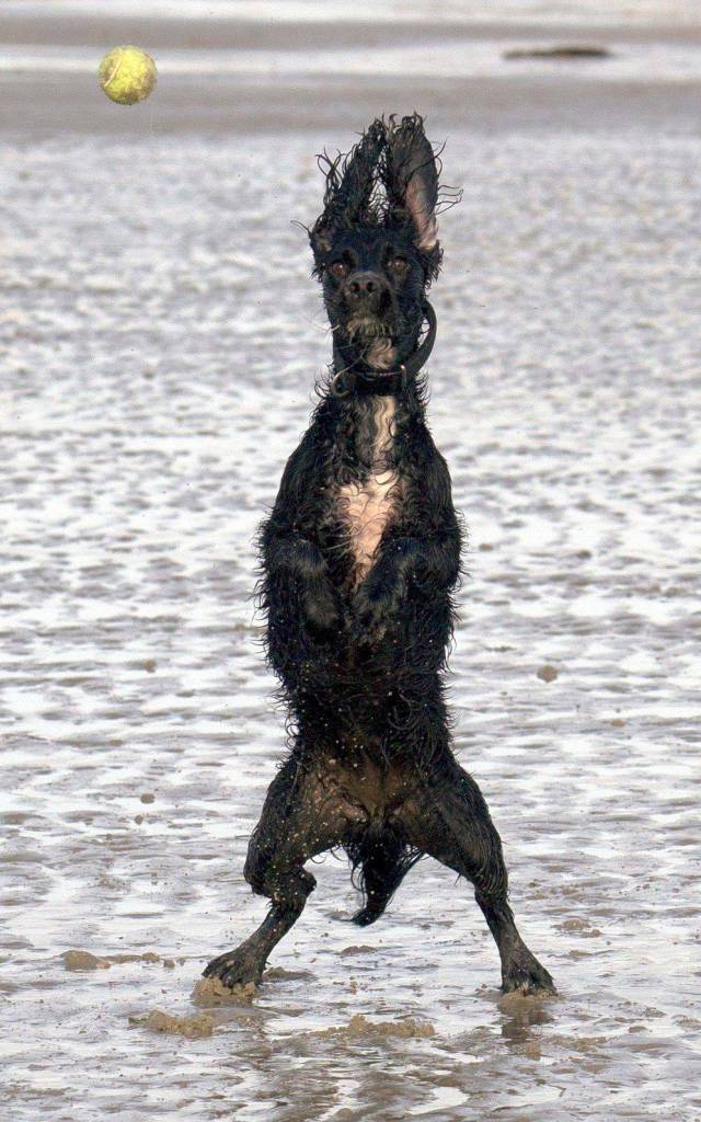 daily picdump 95 pics 5.html - 95 HD Photos | Premium Gallery 2017