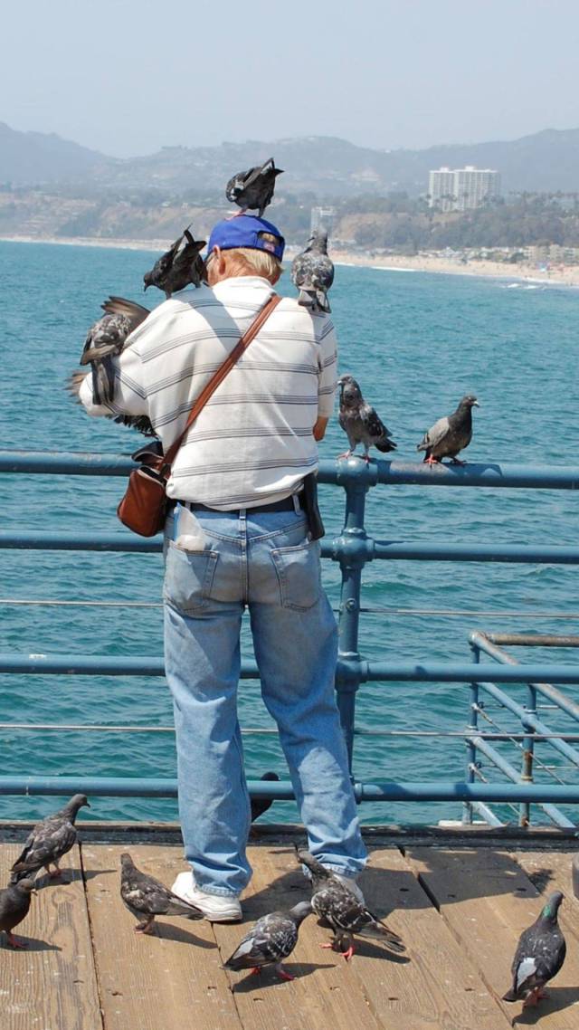 daily picdump 95 pics 5.html - 95 HD Photos | Premium Gallery 2017