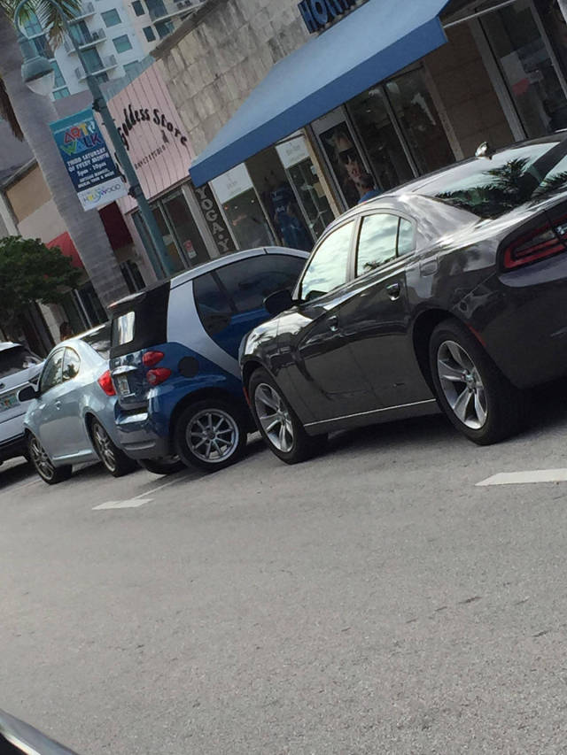 morning picdump 52 pics 8.html - 52 HD Photos | Premium Gallery 2017