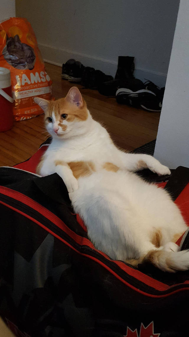 morning picdump 52 pics 8.html - 52 HD Photos | Premium Gallery 2017