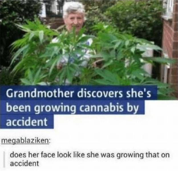 daily picdump 96 pics 15.html - 96 HD Photos | Premium Gallery 2017