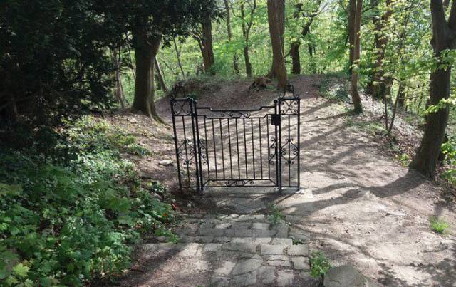 daily picdump 96 pics 15.html - 96 HD Photos | Premium Gallery 2017