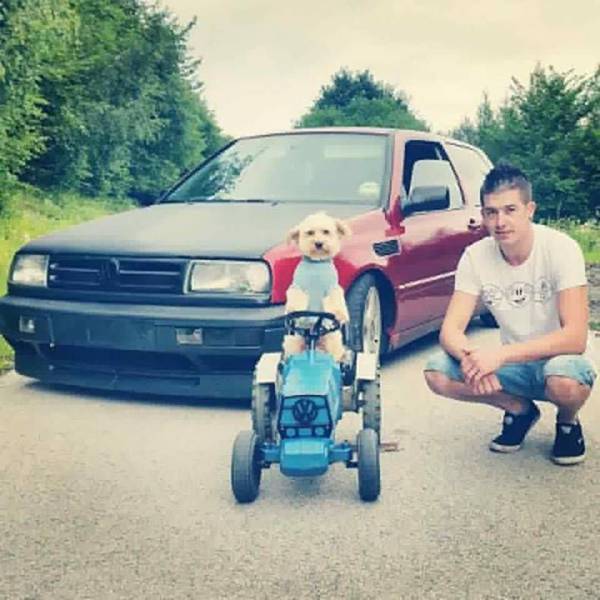 daily picdump 96 pics 15.html - 96 HD Photos | Premium Gallery 2017