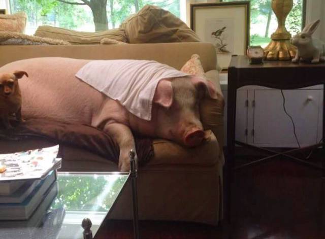 daily picdump 96 pics 15.html - 96 HD Photos | Premium Gallery 2017