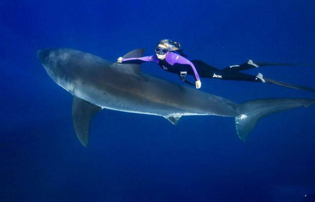 Women’s Sports – Senseless And Merciless