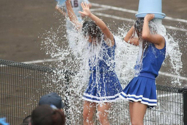 Women’s Sports – Senseless And Merciless