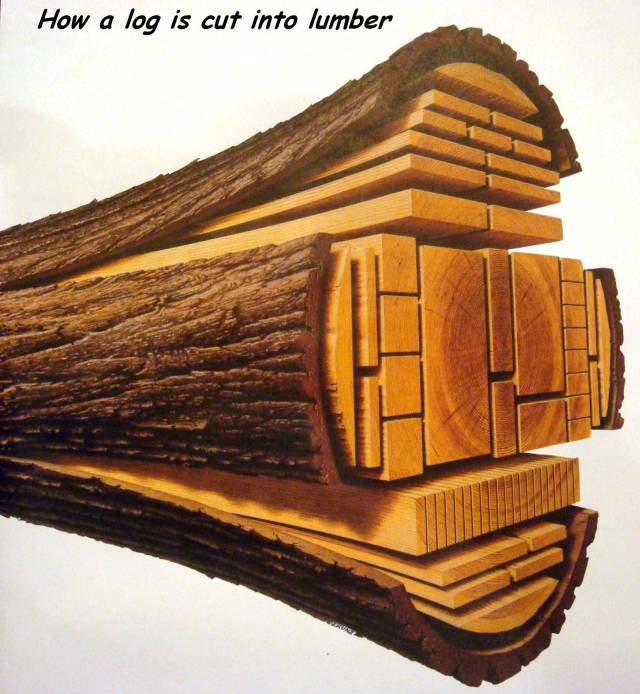 daily picdump 89 pics 45.html - 89 HD Photos | Premium Gallery 2017