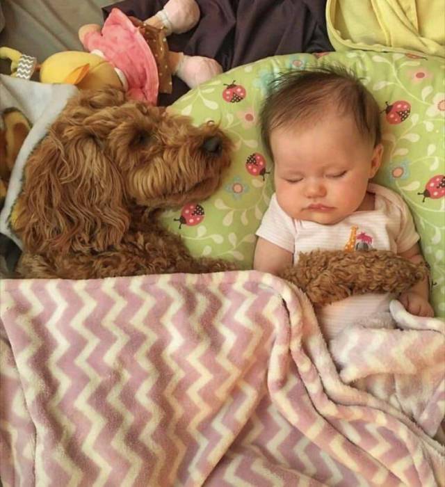 daily picdump 89 pics 45.html - 89 HD Photos | Premium Gallery 2017