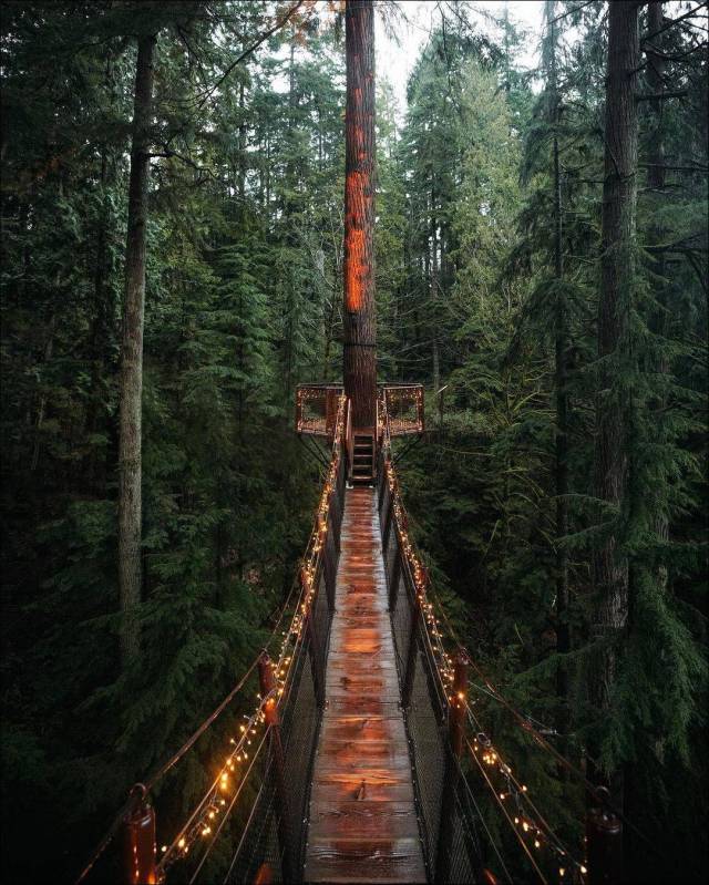 daily picdump 89 pics 45.html - 89 HD Photos | Premium Gallery 2017