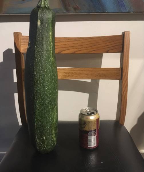 morning picdump 49 pics 4.html - 49 HD Photos | Premium Gallery 2017