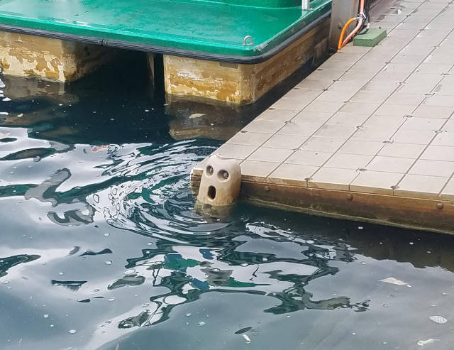 morning picdump 49 pics 4.html - 49 HD Photos | Premium Gallery 2017