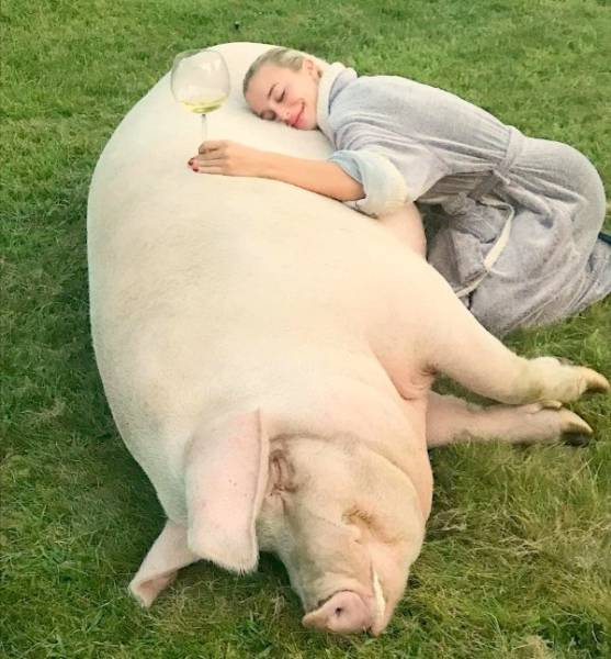 Daily Picdump [WEEKEND EDITION]