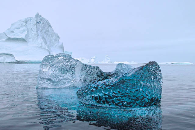 Daily Picdump [WEEKEND EDITION]