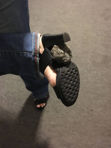 Daily Picdump [WEEKEND EDITION]