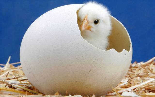 daily picdump weekend edition 54 pics 19.html - 54 HD Photos | Premium Gallery 2017