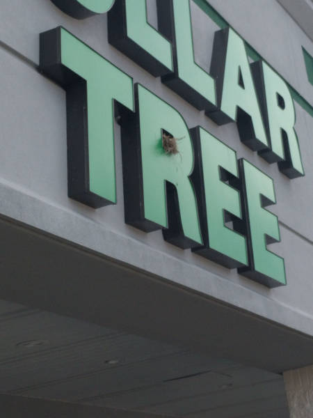 daily picdump weekend edition 54 pics 19.html - 54 HD Photos | Premium Gallery 2017