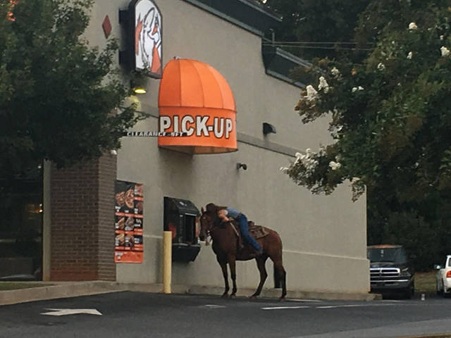 daily picdump weekend edition 54 pics 19.html - 54 HD Photos | Premium Gallery 2017