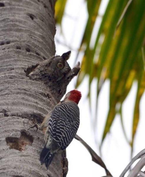 daily picdump weekend edition 54 pics 19.html - 54 HD Photos | Premium Gallery 2017