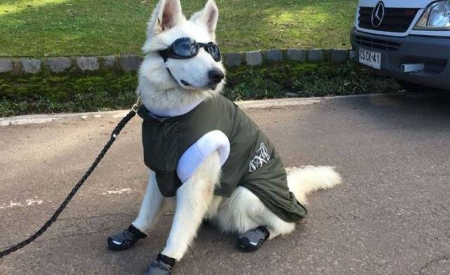 daily picdump 105 pics 14.html - 105 HD Photos | Premium Gallery 2017