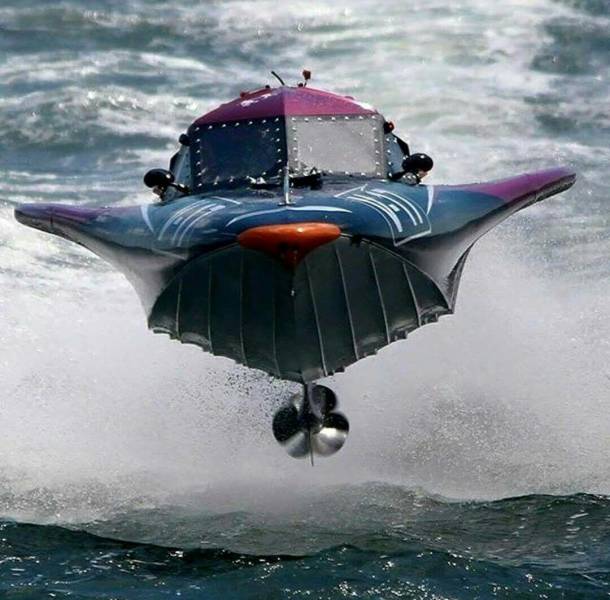 daily picdump 105 pics 14.html - 105 HD Photos | Premium Gallery 2017