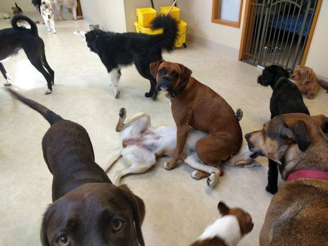 daily picdump 105 pics 14.html - 105 HD Photos | Premium Gallery 2017