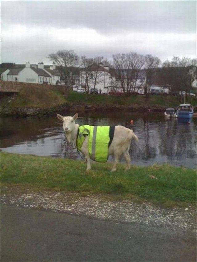 daily picdump 105 pics 14.html - 105 HD Photos | Premium Gallery 2017