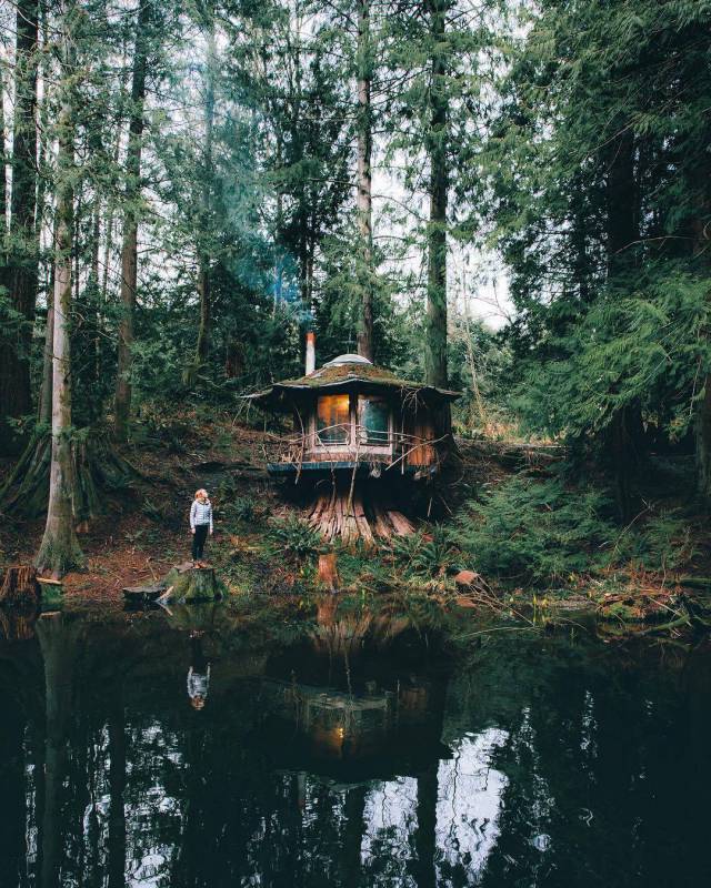 daily picdump 105 pics 14.html - 105 HD Photos | Premium Gallery 2017