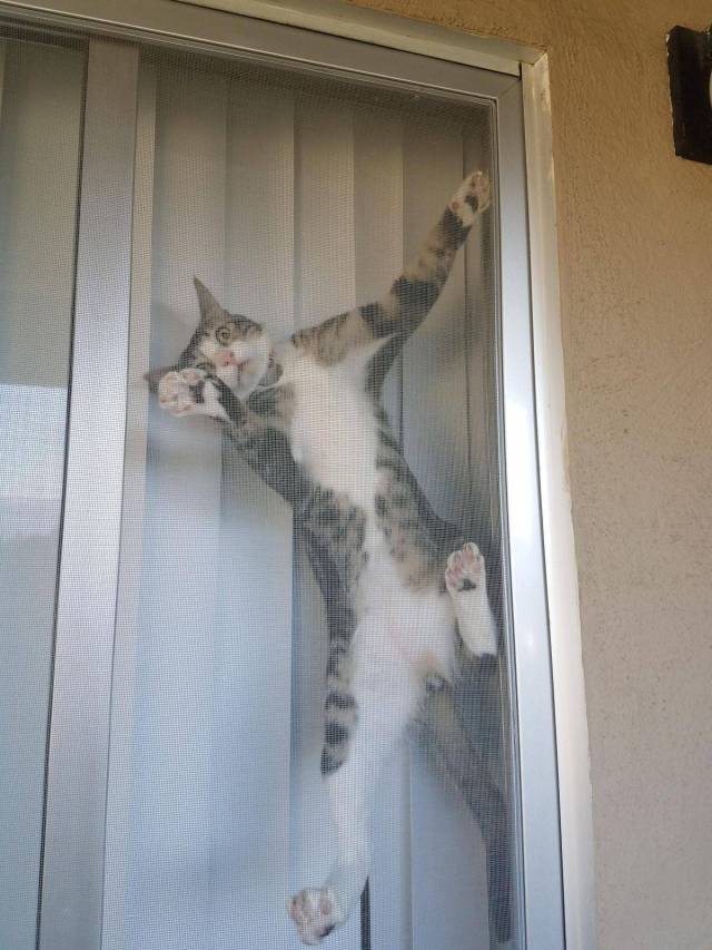 daily picdump 105 pics 14.html - 105 HD Photos | Premium Gallery 2017