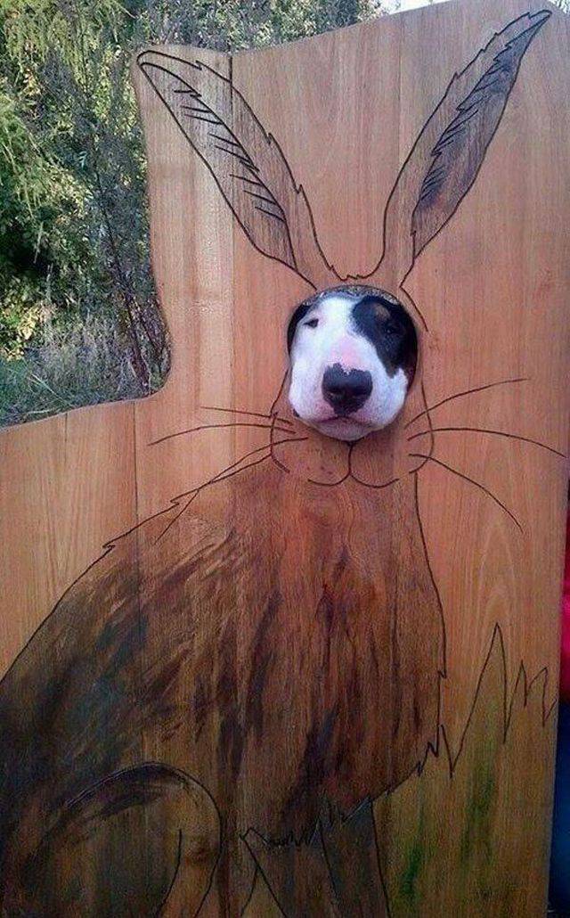 daily picdump 105 pics 14.html - 105 HD Photos | Premium Gallery 2017