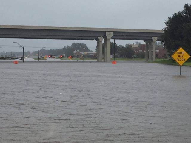 daily picdump 95 pics 42.html - 95 HD Photos | Premium Gallery 2017