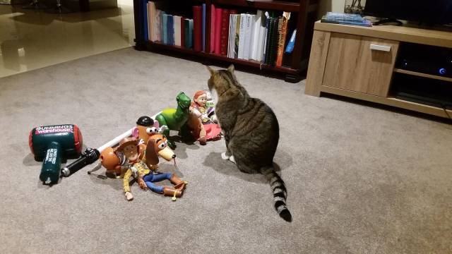 daily picdump 95 pics 42.html - 95 HD Photos | Premium Gallery 2017