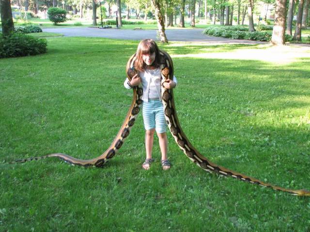 daily picdump 95 pics 42.html - 95 HD Photos | Premium Gallery 2017