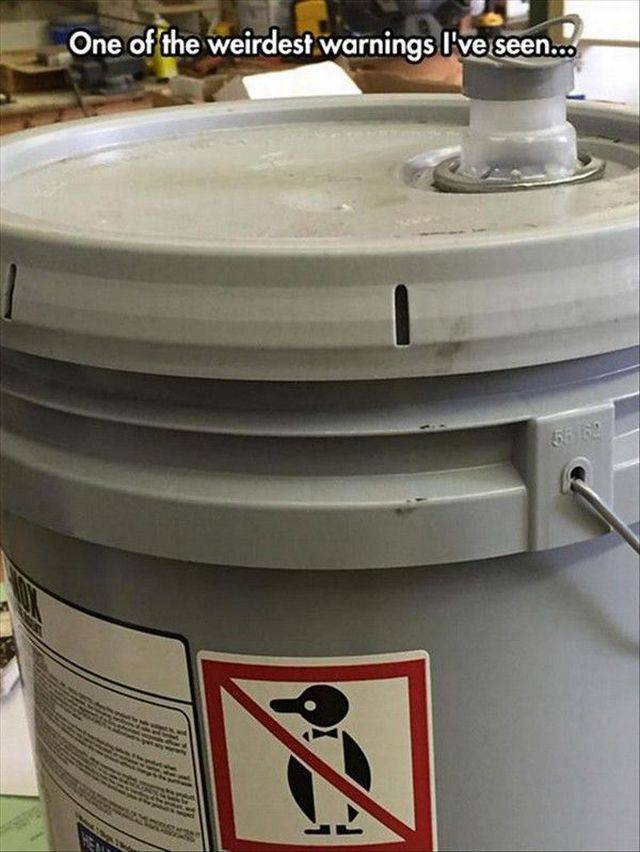 daily picdump 95 pics 42.html - 95 HD Photos | Premium Gallery 2017