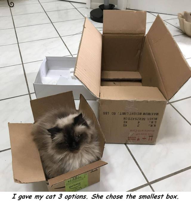 daily picdump 95 pics 42.html - 95 HD Photos | Premium Gallery 2017