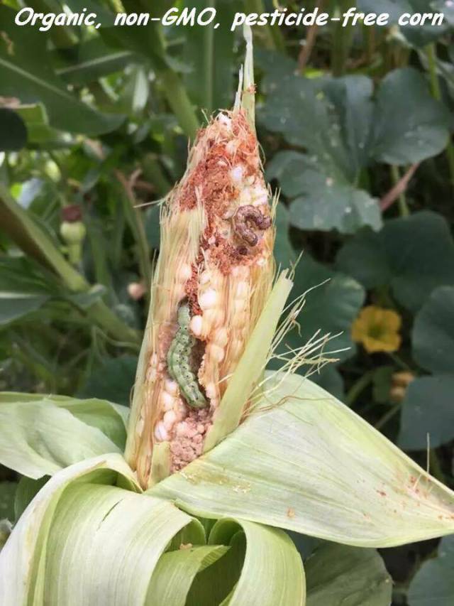 daily picdump 95 pics 42.html - 95 HD Photos | Premium Gallery 2017