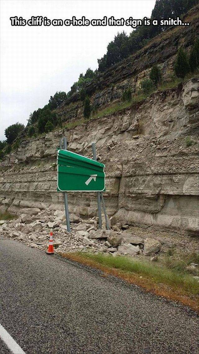 daily picdump 95 pics 42.html - 95 HD Photos | Premium Gallery 2017