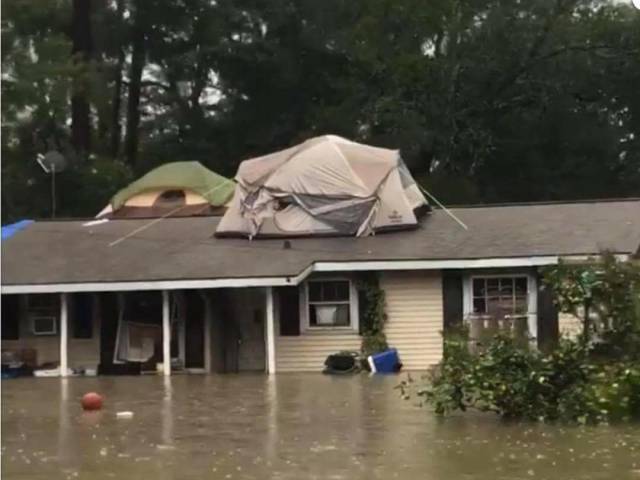 morning picdump 52 pics 21.html - 52 HD Photos | Premium Gallery 2017