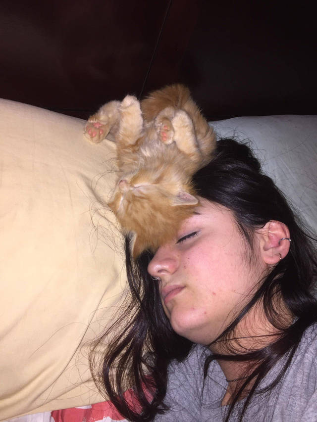 morning picdump 52 pics 21.html - 52 HD Photos | Premium Gallery 2017