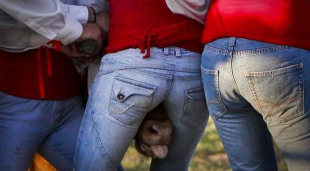 daily picdump 98 pics 33.html - 98 HD Photos | Premium Gallery 2017