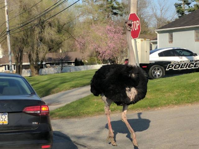 daily picdump 98 pics 33.html - 98 HD Photos | Premium Gallery 2017