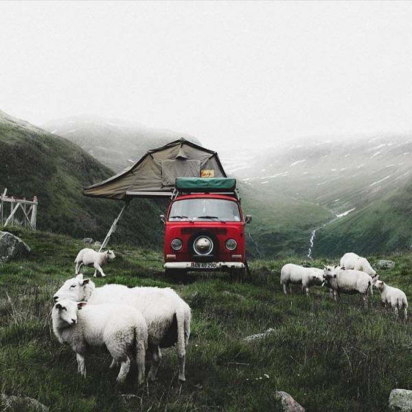 daily picdump 98 pics 33.html - 98 HD Photos | Premium Gallery 2017