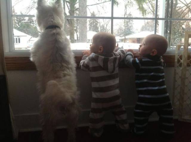 daily picdump 98 pics 33.html - 98 HD Photos | Premium Gallery 2017