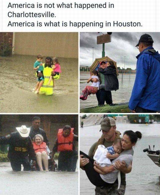 daily picdump 98 pics 33.html - 98 HD Photos | Premium Gallery 2017