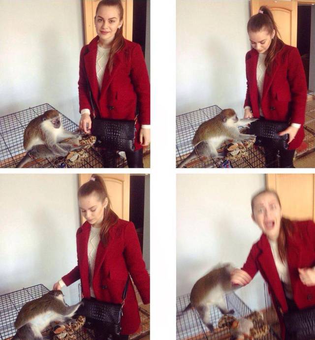 daily picdump 98 pics 33.html - 98 HD Photos | Premium Gallery 2017