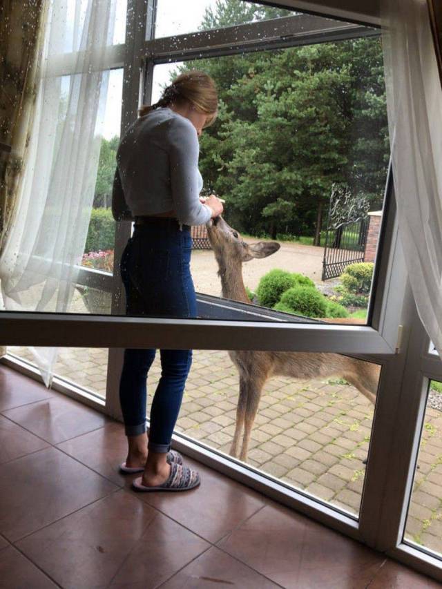 daily picdump 98 pics 33.html - 98 HD Photos | Premium Gallery 2017